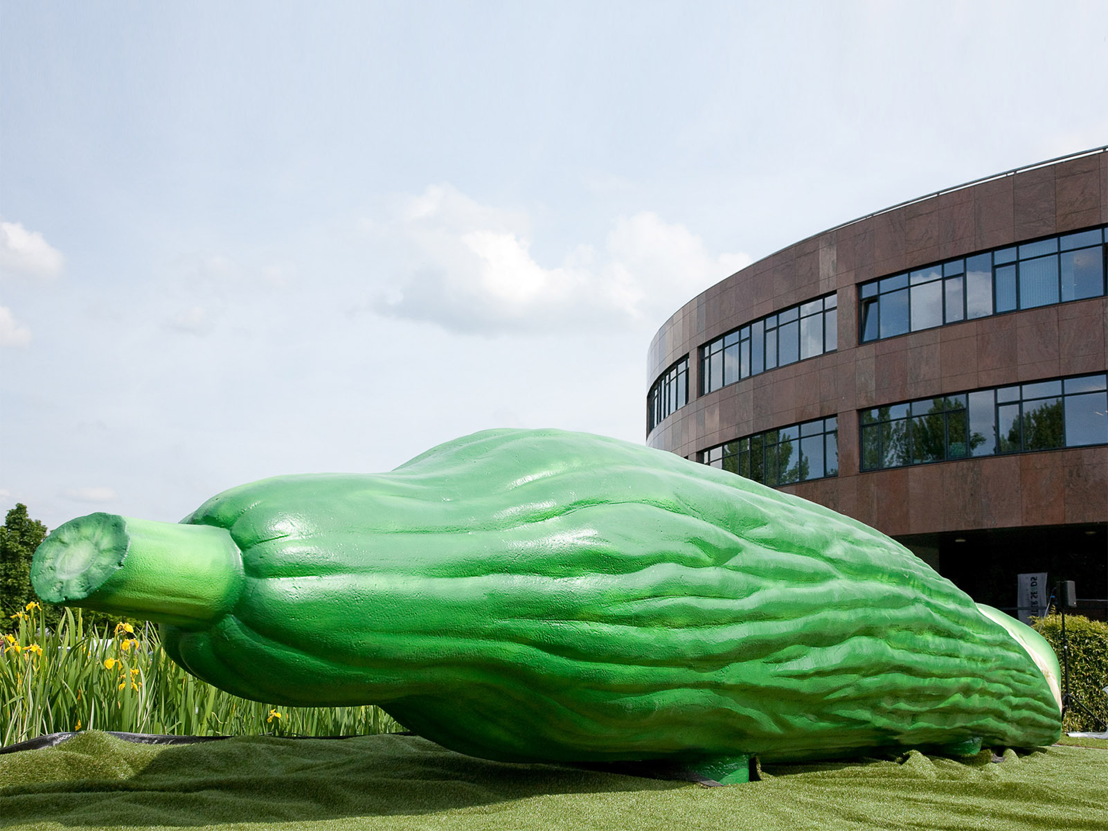 Cucumber De Ruiter Seeds