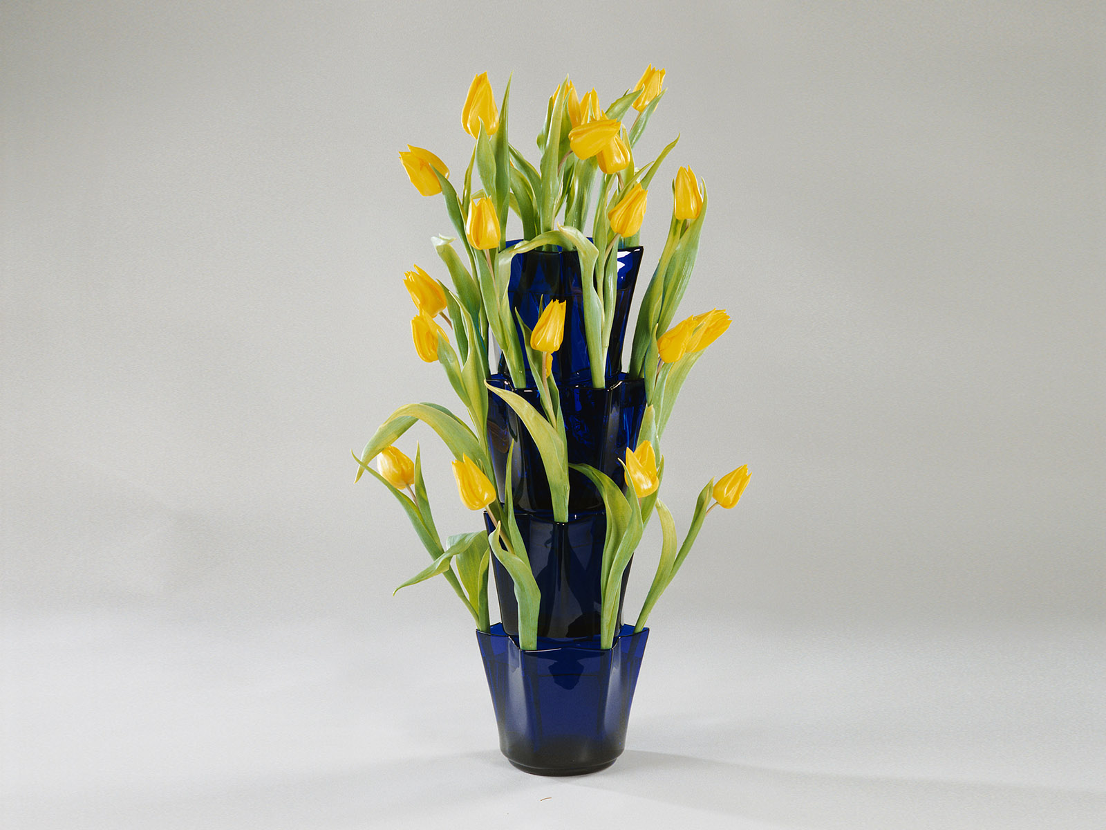 Tulip vase