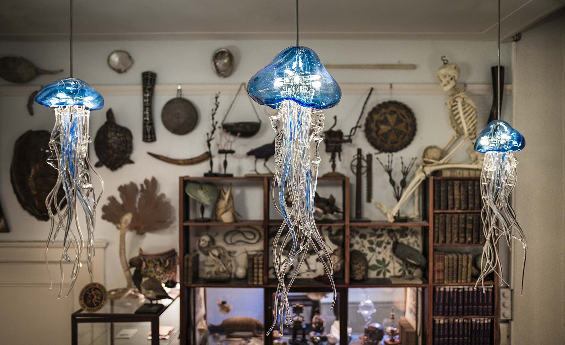 Sculpturale ornamenten van glas, geïnspireerd door de natuur
