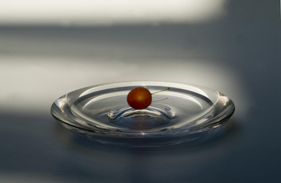 Rotarydish